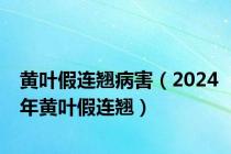 黄叶假连翘病害（2024年黄叶假连翘）