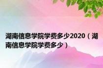 湖南信息学院学费多少2020（湖南信息学院学费多少）