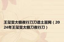 王玺雯太极夜行刀刀谱土豆网（2024年王玺雯太极刀夜行刀）