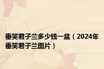 垂笑君子兰多少钱一盆（2024年垂笑君子兰图片）