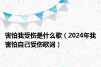 害怕我受伤是什么歌（2024年我害怕自己受伤歌词）