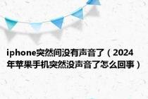 iphone突然间没有声音了（2024年苹果手机突然没声音了怎么回事）