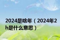 2024是啥年（2024年2h是什么意思）