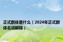 正式群体是什么（2024年正式群体名词解释）