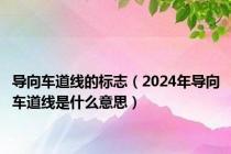 导向车道线的标志（2024年导向车道线是什么意思）