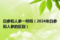 白参和人参一样吗（2024年白参和人参的区别）