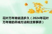 花叶万年青能活多久（2024年花叶万年青的养殖方法和注意事项）