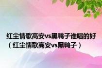 红尘情歌高安vs黑鸭子谁唱的好（红尘情歌高安vs黑鸭子）