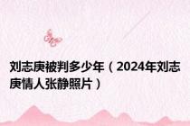 刘志庚被判多少年（2024年刘志庚情人张静照片）