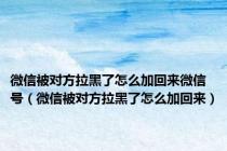 微信被对方拉黑了怎么加回来微信号（微信被对方拉黑了怎么加回来）