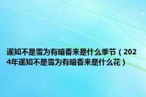 遥知不是雪为有暗香来是什么季节（2024年遥知不是雪为有暗香来是什么花）