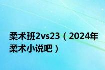 柔术班2vs23（2024年柔术小说吧）