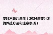 变叶木是几年生（2024年变叶木的养殖方法和注意事项）