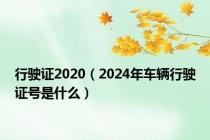 行驶证2020（2024年车辆行驶证号是什么）