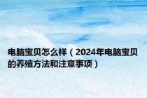 电脑宝贝怎么样（2024年电脑宝贝的养殖方法和注意事项）