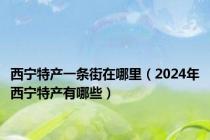 西宁特产一条街在哪里（2024年西宁特产有哪些）