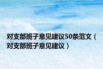 对支部班子意见建议50条范文（对支部班子意见建议）