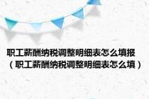 职工薪酬纳税调整明细表怎么填报（职工薪酬纳税调整明细表怎么填）