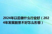 2024年以后做什么行业好（2024年发展前景不好怎么形容）