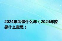 2024年叫做什么年（2024年撩是什么意思）