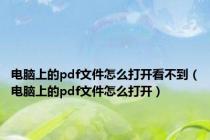 电脑上的pdf文件怎么打开看不到（电脑上的pdf文件怎么打开）