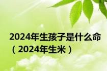 2024年生孩子是什么命（2024年生米）