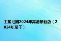 卫星地图2024年高清最新版（2024年精干）