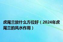 虎尾兰放什么方位好（2024年虎尾兰的风水作用）