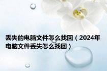 丢失的电脑文件怎么找回（2024年电脑文件丢失怎么找回）