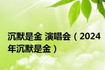 沉默是金 演唱会（2024年沉默是金）