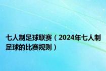 七人制足球联赛（2024年七人制足球的比赛规则）