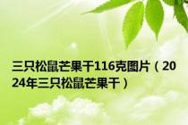 三只松鼠芒果干116克图片（2024年三只松鼠芒果干）