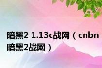 暗黑2 1.13c战网（cnbn暗黑2战网）