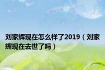 刘家辉现在怎么样了2019（刘家辉现在去世了吗）