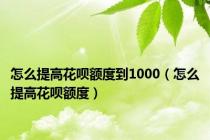 怎么提高花呗额度到1000（怎么提高花呗额度）