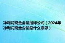 净利润现金含量指标公式（2024年净利润现金含量是什么意思）