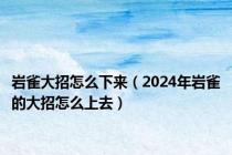 岩雀大招怎么下来（2024年岩雀的大招怎么上去）