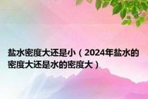 盐水密度大还是小（2024年盐水的密度大还是水的密度大）