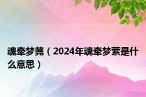 魂牵梦荛（2024年魂牵梦萦是什么意思）