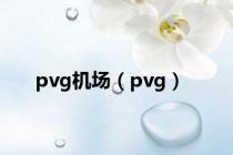 pvg机场（pvg）