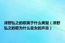 泽野弘之的歌属于什么类型（泽野弘之的歌为什么是女的声音）