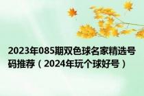 2023年085期双色球名家精选号码推荐（2024年玩个球好号）