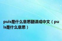 puls是什么意思翻译成中文（puls是什么意思）