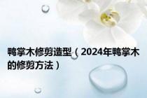 鸭掌木修剪造型（2024年鸭掌木的修剪方法）