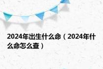 2024年出生什么命（2024年什么命怎么查）