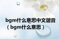 bgm什么意思中文谐音（bgm什么意思）