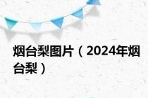 烟台梨图片（2024年烟台梨）