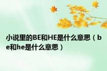 小说里的BE和HE是什么意思（be和he是什么意思）