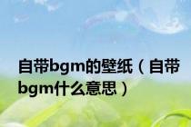 自带bgm的壁纸（自带bgm什么意思）