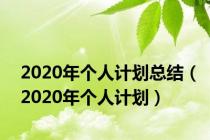 2020年个人计划总结（2020年个人计划）